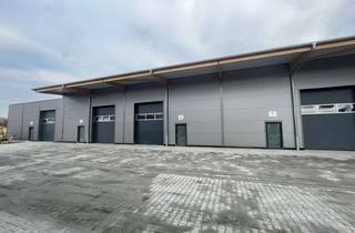 Büro zu mieten in 69469 Weinheim, Repräsentative Halle (Neubau, Holz, 385 qm), Büros mit Klima und 12 kWp PV-Anlage zu vermieten