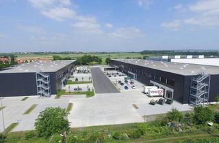Gewerbeimmobilie mieten in Mariechen-Graulich-Straße 10-12, 65439 Flörsheim, im Co-Alleinauftrag - moderne Lager-/Logistikflächen PROVISIONSFREI zu vermieten