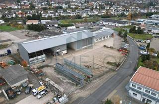 Gewerbeimmobilie kaufen in 63868 Großwallstadt, IM ALLEINAUFTRAG | Gewerbeliegenschaft ca. 6.800 m² Grundstück | ca. 2.000 m² Lagerfläche + Büro