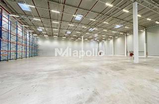 Gewerbeimmobilie mieten in 65428 Rüsselsheim, CO-EXKLUSIVMANDAT | Keine Provision | 3.000 m² Logistikfläche | kurzfristig verfügbar |Flughafennähe