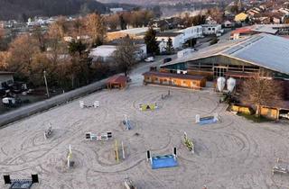 Gewerbeimmobilie kaufen in 79713 Bad Säckingen, Attraktive Reitanlage an der schweizer Grenze mit vielfältigen Nutzungsmöglichkeiten
