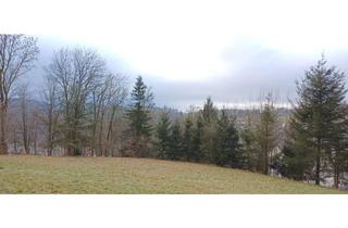 Grundstück zu kaufen in Zur Roleye, 58762 Altena, Baugrundstück mit Ausblick in Altena Evingsen