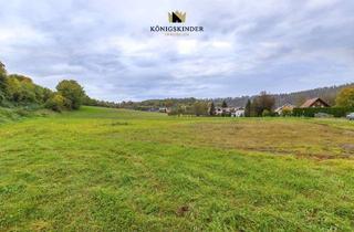 Grundstück zu kaufen in 72181 Starzach, Attraktives Baugrundstück: Wohnen & Arbeiten im Herzen des Neckartals – mit top Zukunftsperspektive