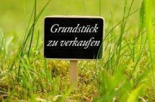 Grundstück zu kaufen in 67292 Kirchheimbolanden, Schönes Grundstück in toller Lage in Kircheimbolanden-Haide.