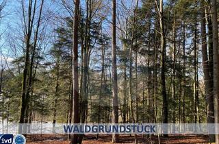 Grundstück zu kaufen in 94530 Auerbach, SCHÖNES WALDGRUNDSTÜCKCA. 1045 M² GRUNDSTÜCKSFLÄCHE