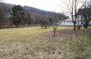 Grundstück zu kaufen in 35719 Angelburg, Baugrundstück in guter, ruhiger Lage