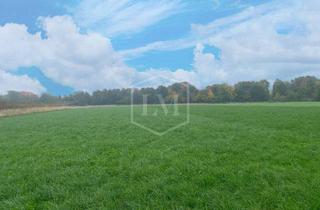 Immobilie kaufen in 53340 Meckenheim, Ackerland in Meckenheim