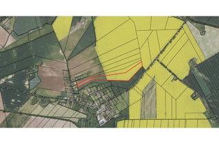 Gewerbeimmobilie kaufen in 15324 Letschin, 7,35 ha Ackerland in einem Flurstück im Landkreis Märkisch-Oderland, Letschin