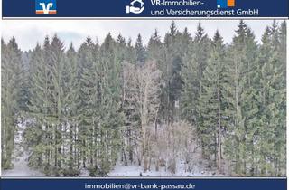 Gewerbeimmobilie kaufen in 94143 Grainet, Ein Stück Natur mit vielseitigen Nutzungsmöglichkeiten - Waldgrundstück Nähe 94078 Freyung