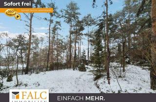 Grundstück zu kaufen in 15754 Heidesee, Baugrundstück mit schönem Wochenendbungalow - FALC Immobilien