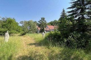 Grundstück zu kaufen in 06773 Gräfenhainichen, Bebautes Grundstück zum selbst verwirklichen in der Dübener Heide!