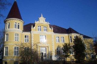 Wohnung mieten in Zubzow, 18569 Trent, Im Herrenhaus vor Schaprode