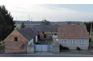 Haus kaufen in 03238 Sallgast, Dreiseitenhof mit viel Platz - Wald und Wiesenfläche und vielseitige Möglichkeiten