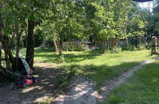 Einfamilienhaus kaufen in 67753 Einöllen, Einfamilienhaus mit Anbau , Scheune und großem Grundstück