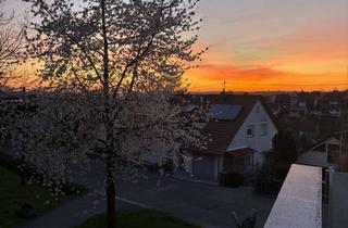 Haus mieten in Alte Kleinbottwarer Straße 16, 71711 Steinheim, Großzügiges Einfamilienhaus mit 7 Zimmern in Steinheim an der Murr