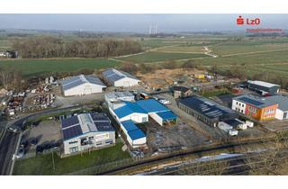 Gewerbeimmobilie kaufen in 26419 Schortens, Großzügige Hallenflächen mit Büro und Betriebsleiterwohnung