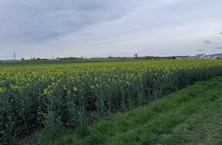 Anlageobjekt in 65843 Sulzbach, Provisionsfrei !lukratives Geschäfts& Wohnhaus / Büro´s auch zum Selbstnutz möglich