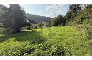 Grundstück zu kaufen in 34355 Staufenberg, VIEL PLATZ FÜR IHRE BAUPLÄNE