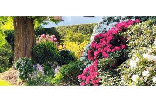 Haus mieten in 26129 Oldenburg, Oldenburg - Sonniges 28 qm Zimmer in 2er WG nahe Uni