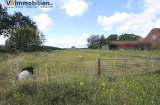 Immobilie kaufen in 24799 Königshügel, Großes, gut geschnittenes Grundstück in naturnaher Wohnlage mit dörflichem Charakter