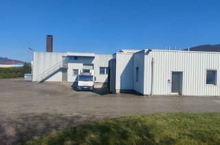 Gewerbeimmobilie kaufen in 32676 Lügde, Gewerbebetrieb mit 8 Kühlräumen, 1 Gefrierraum und voll ausgestatteten Produktionsflächen