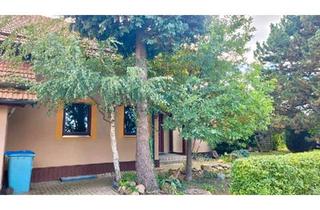 Einfamilienhaus kaufen in 04769 Mügeln, Mügeln - Verwirklichen Sie Ihren Traum vom eigenen Zuhause