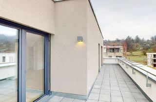 Wohnung mieten in 79541 Lörrach, Rundumblick! Großzügige 3-Zimmer-Wohnung mit Dachterrasse und EBK