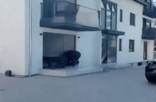 Wohnung mieten in Hofgasse, 68307 Schönau, Moderne 3-Zimmer-Wohnung mit Balkon in Mannheim-Scharhof (Neubau, Zweitbezug)