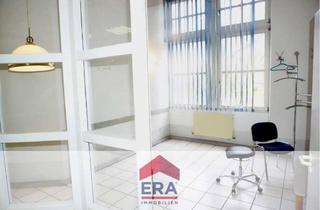 Wohnung mieten in 67547 Worms, 220 qm große Wohnung im Herzen von Worms - zu vermieten!