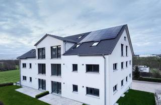 Wohnung mieten in Binnetstraße 28, 74177 Bad Friedrichshall, 4,5-Zimmer-Neubauwohnung in Effizienzhaus 40 QNG