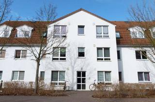 Wohnung mieten in Karlsluster Str., 15859 Storkow, 2 Zimmer mit Balkon und Stellplatz