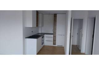 Wohnung mieten in Adolf-Disterweg-Straße 109, 67071 Oggersheim, Erstbezug - top Lage - energieeffizient - hochwertige Ausstattung