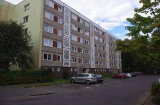 Wohnung mieten in Loissiner Wende 4 a, 17491 Schönwalde II, 3-Zimmer-Wohnung