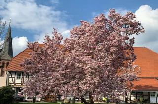 Haus kaufen in 38527 Meine, Viel Platz & viele Möglichkeiten in ruhiger Lage zwischen Braunschweig, Wolfsburg und Gifhorn