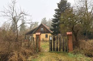 Haus kaufen in 17309 Schönwalde, Besondere Immobilie in traumhafter Alleinlage