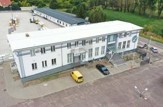 Geschäftslokal mieten in 06193 Plötz, GEWERBEAREAL MIT PRODUKTION, LAGER & BÜRO