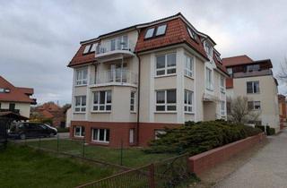 Gewerbeimmobilie mieten in 15926 Luckau, Gewerberäume in Luckau zu vermieten-perfekt als Büro oder Praxis