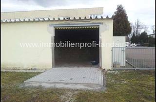 Gewerbeimmobilie mieten in 76870 Kandel, Lagerhalle mit Freifläche im Industriegebiet Kandel