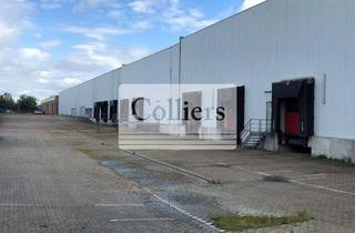 Gewerbeimmobilie mieten in 31135 Hildesheim, Vielseitige Lagerflächen in Hildesheim