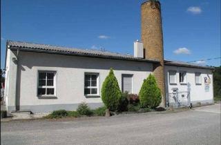 Gewerbeimmobilie kaufen in 09328 Lunzenau, Attraktiver Betriebsstandort (Produktion, Verwaltung, Freifläche) auf 17.600 m² zu verkaufen