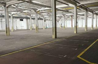Gewerbeimmobilie mieten in Werkstraße 27, 78727 Oberndorf, Provisionsfrei ab 2.000 m² - Produktions- und Lagerhalle im Mauser Gewerbepark
