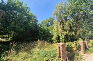 Grundstück zu kaufen in 03149 Forst, Provisionsfrei: 1.925 m² Entwicklungsgrundstück in Forst – vielseitig nutzbar in ruhiger Lage