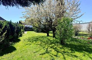 Grundstück zu kaufen in 64404 Bickenbach, Filet-Grundstück im Herzen von Bickenbach