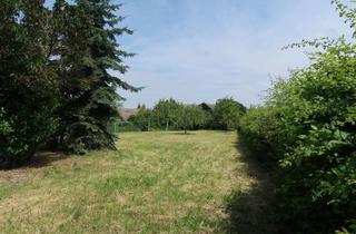 Grundstück zu kaufen in Falderstraße 35, 52525 Heinsberg, Tolles Grundstück bietet viele Möglichkeiten, verwirklichen sie Ihr Traumhaus,