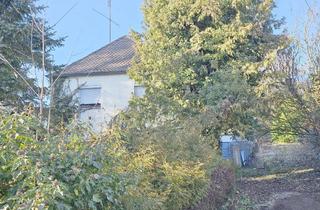 Grundstück zu kaufen in Guttenbergerstr. 40, 85101 Lenting, Seltene Gelegenheit am Ortsrand von Lenting – Großes Traumgrundstück, Altbestand, Natur & Potential