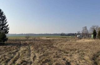 Grundstück zu kaufen in Rütenberger Str, 19303 Dömitz, 6.800 m² Landidylle: Riesiges Naturgrundstück mit ausgewiesenem Bauanteil in Heidhof