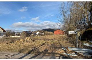 Grundstück zu kaufen in Mühlenweg, 72401 Haigerloch, Großer Bauplatz in guter Lage von Owingen mit vielen Möglichkeiten