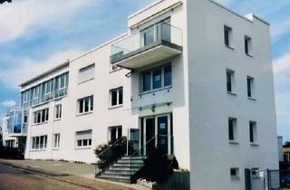 Büro zu mieten in 74189 Weinsberg, Zum Vermieten stehen Büroräume in einem modernen Bürogebäude