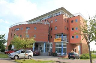 Büro zu mieten in Lübecker Straße 10, 39576 Stendal, Schönes Büro, ideal zum Arbeiten - separat im eigenen Flügel fast wie ein Haus