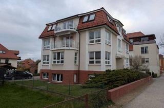 Büro zu mieten in 15926 Luckau, Gewerberäume in Luckau zu vermieten-perfekt als Büro oder Praxis